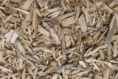 biomass boilers Badluarach